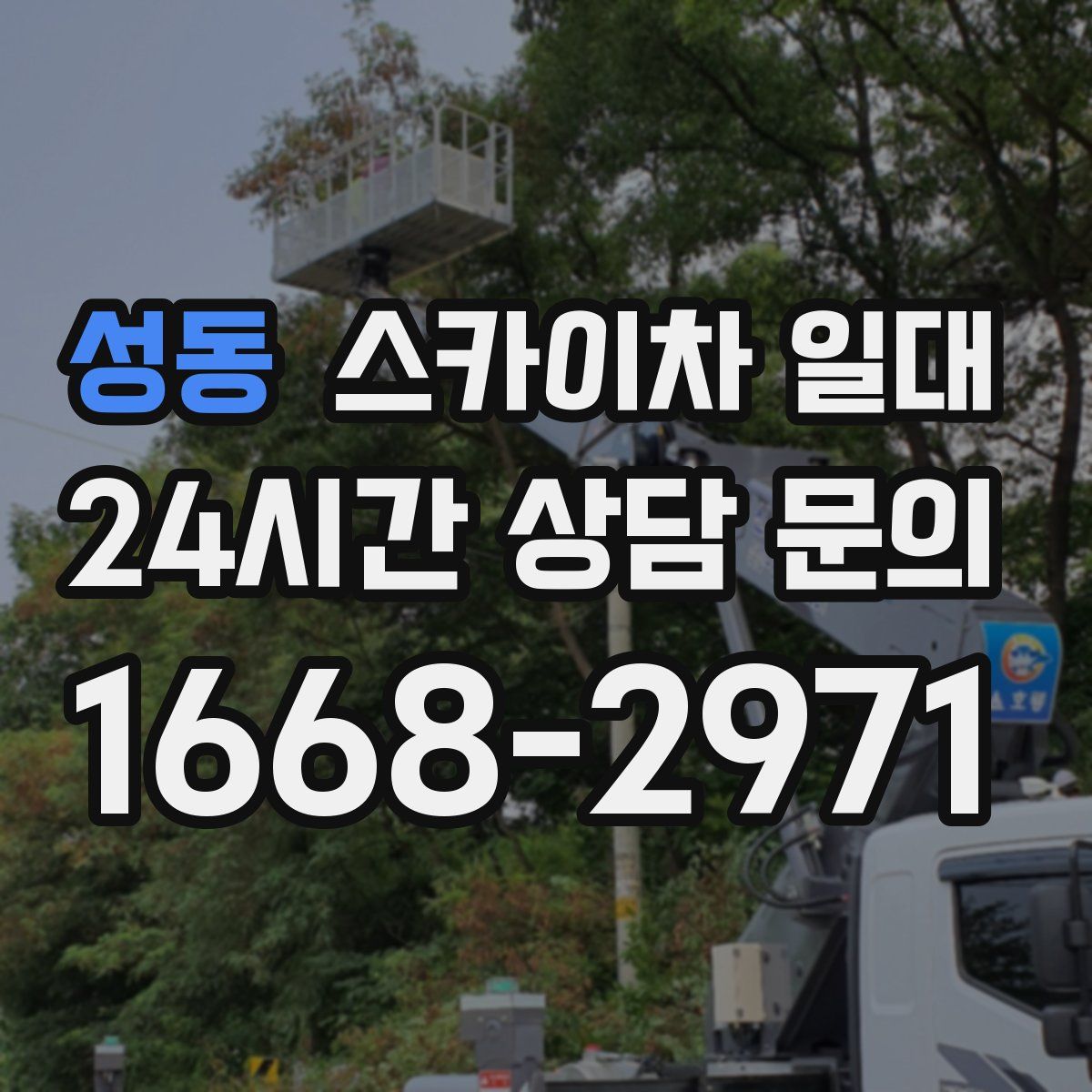 성동 스카이차 일대
