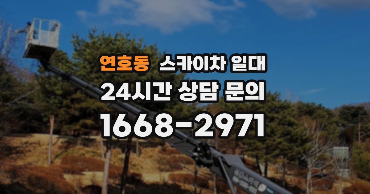 연호동 스카이차 일대