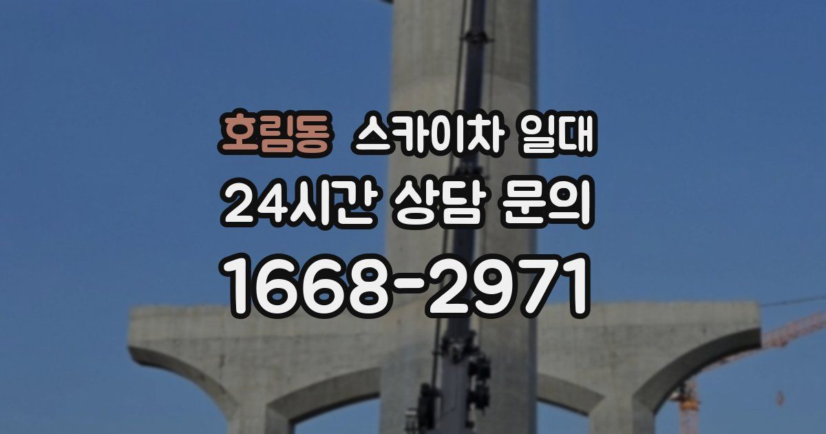 호림동 스카이차 일대