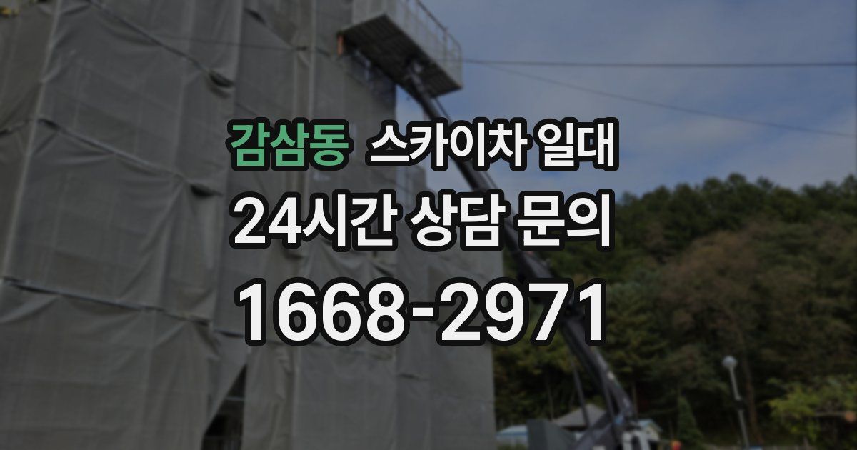감삼동 스카이차 일대