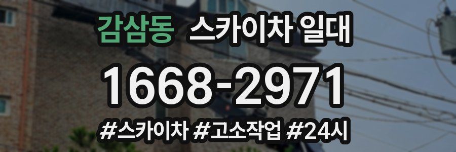 감삼동 스카이차 일대