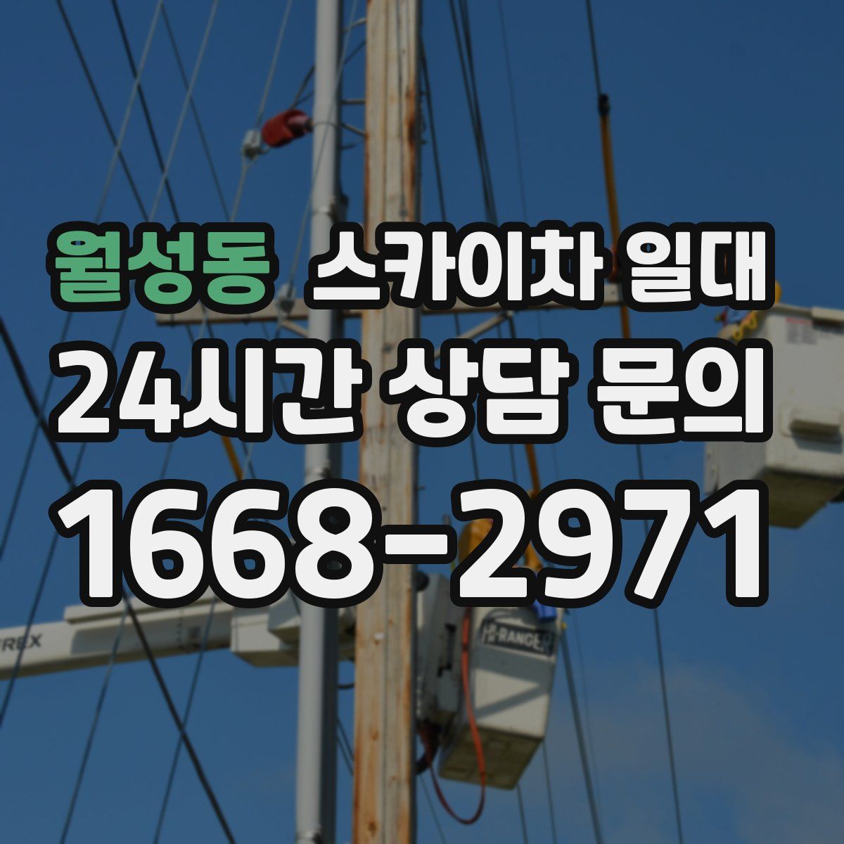 월성동 스카이차 일대