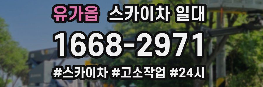 유가읍 스카이차 일대