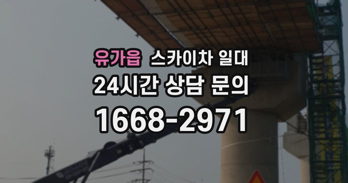 유가읍 스카이차 일대