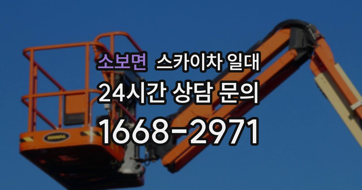 소보면 스카이차 일대