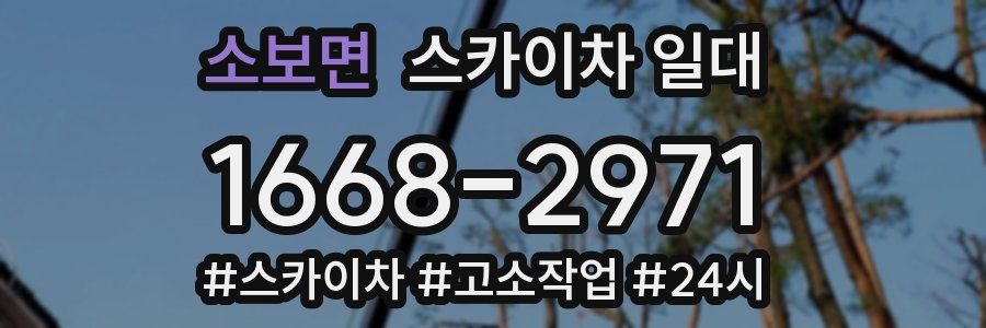 소보면 스카이차 일대