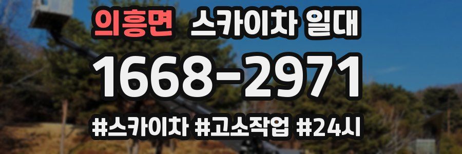 의흥면 스카이차 일대