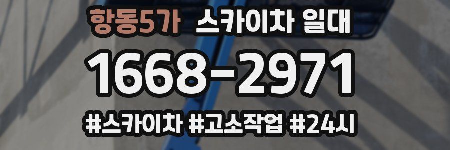 항동5가 스카이차 일대