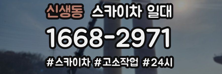신생동 스카이차 일대