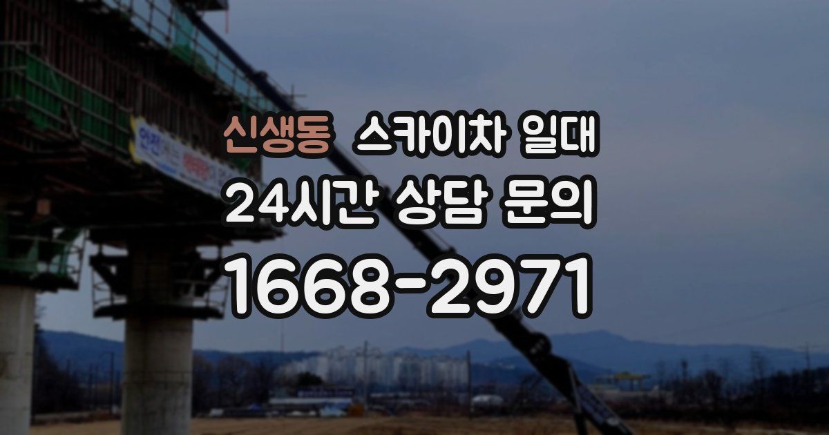 신생동 스카이차 일대