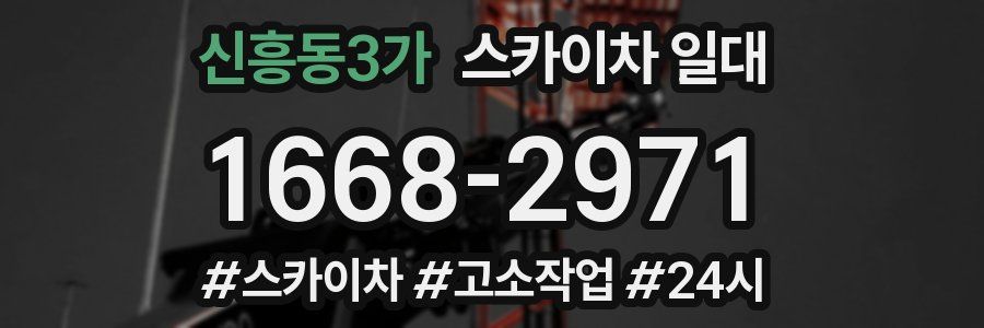 신흥동3가 스카이차 일대