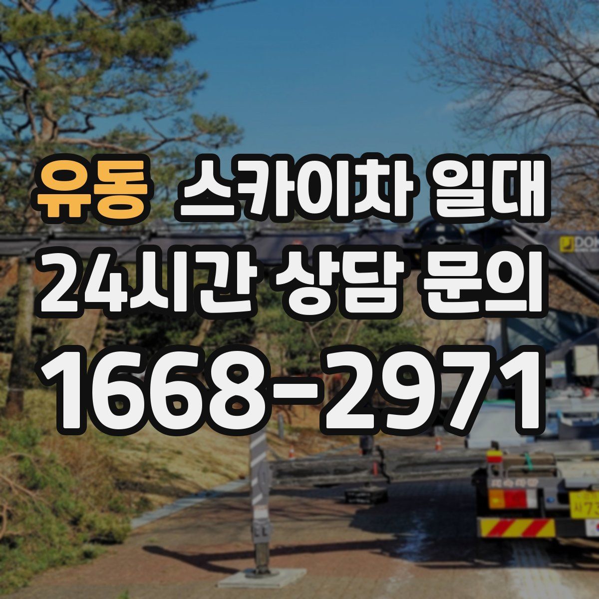 유동 스카이차 일대