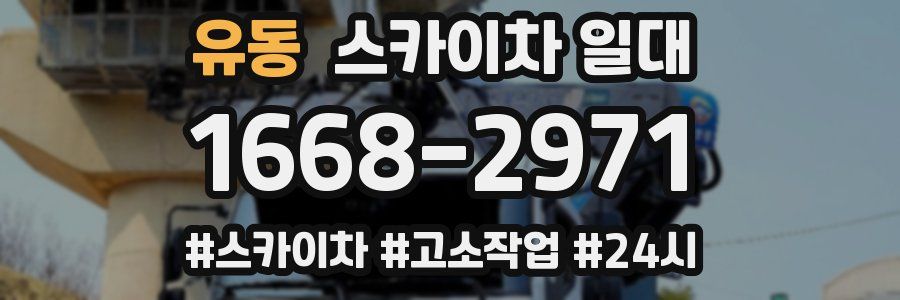 유동 스카이차 일대