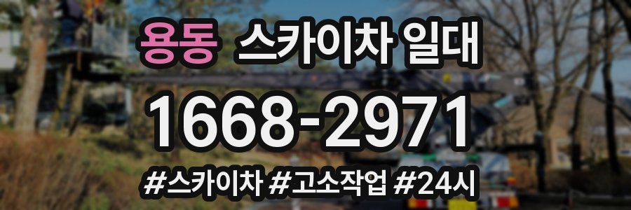 용동 스카이차 일대
