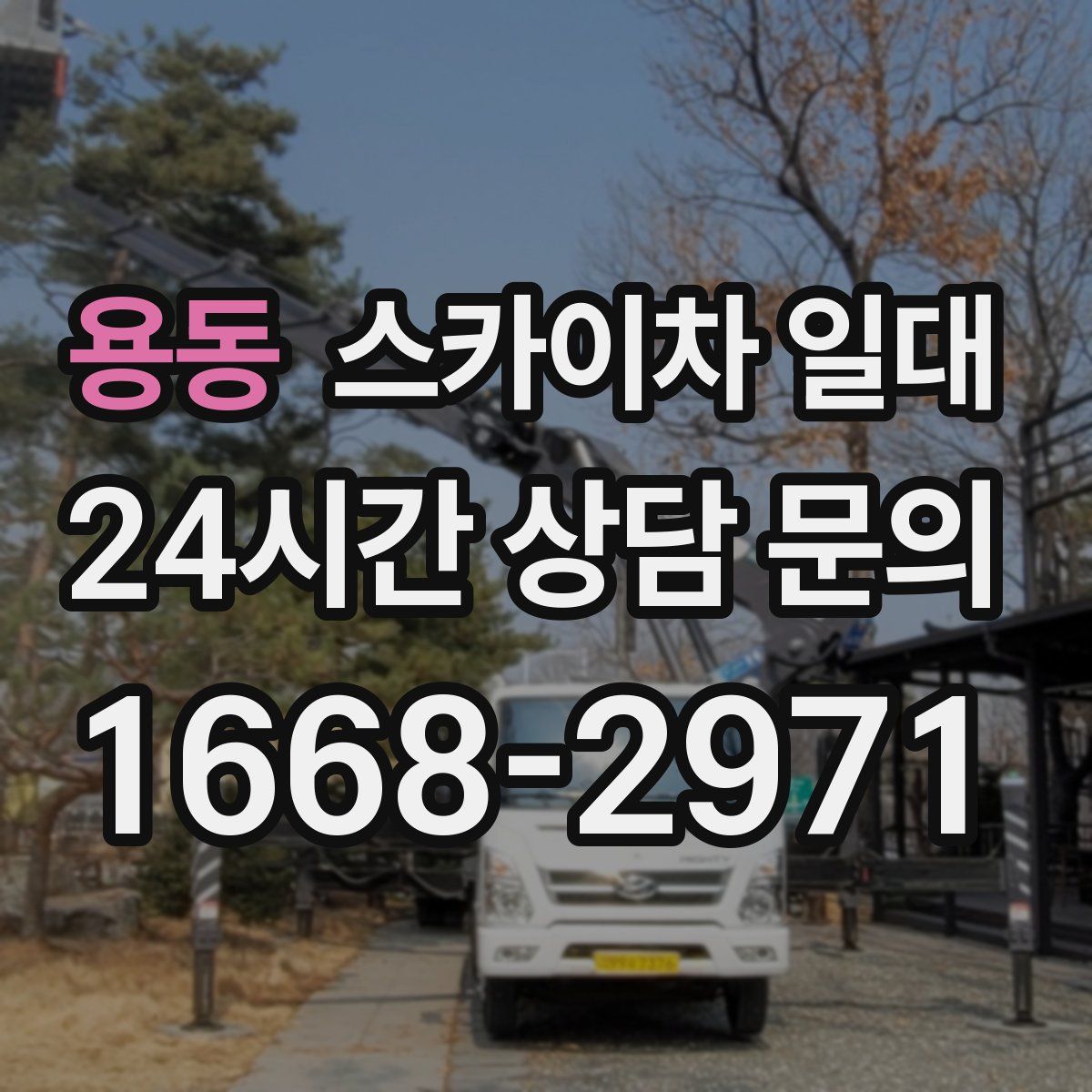 용동 스카이차 일대
