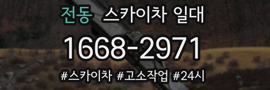 전동 스카이차 일대
