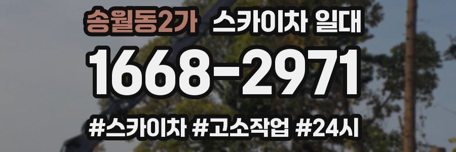 송월동2가 스카이차 일대