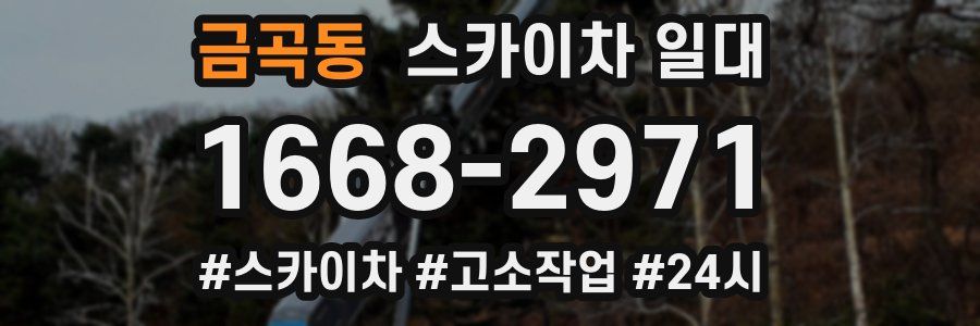 금곡동 스카이차 일대