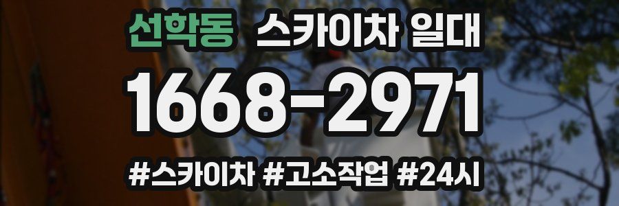 선학동 스카이차 일대