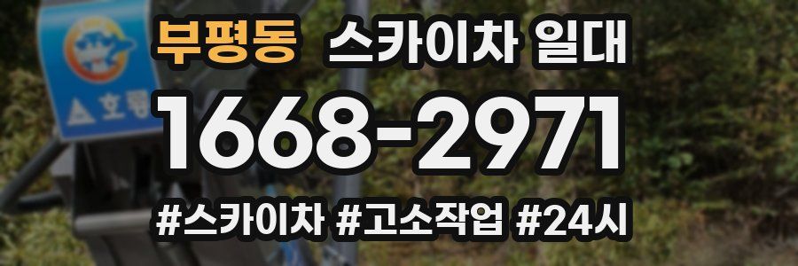부평동 스카이차 일대