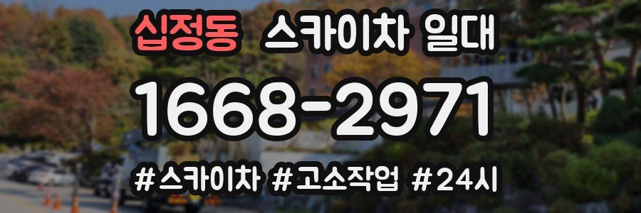 십정동 스카이차 일대