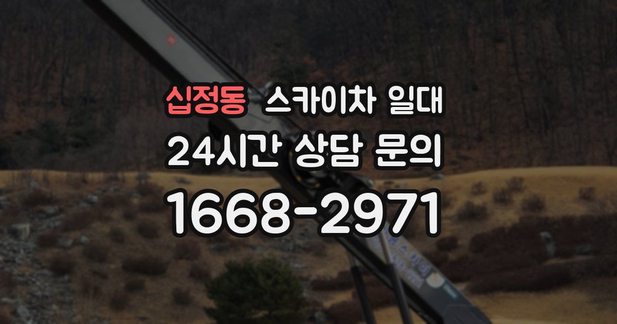 십정동 스카이차 일대
