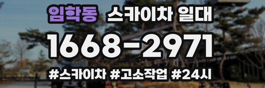 임학동 스카이차 일대