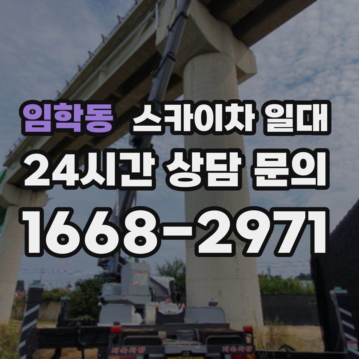 임학동 스카이차 일대