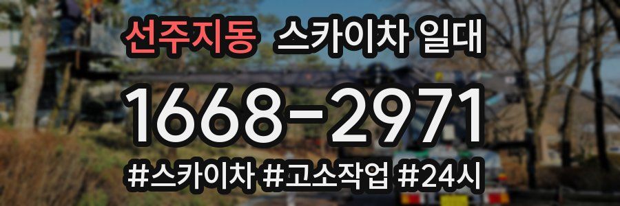 선주지동 스카이차 일대