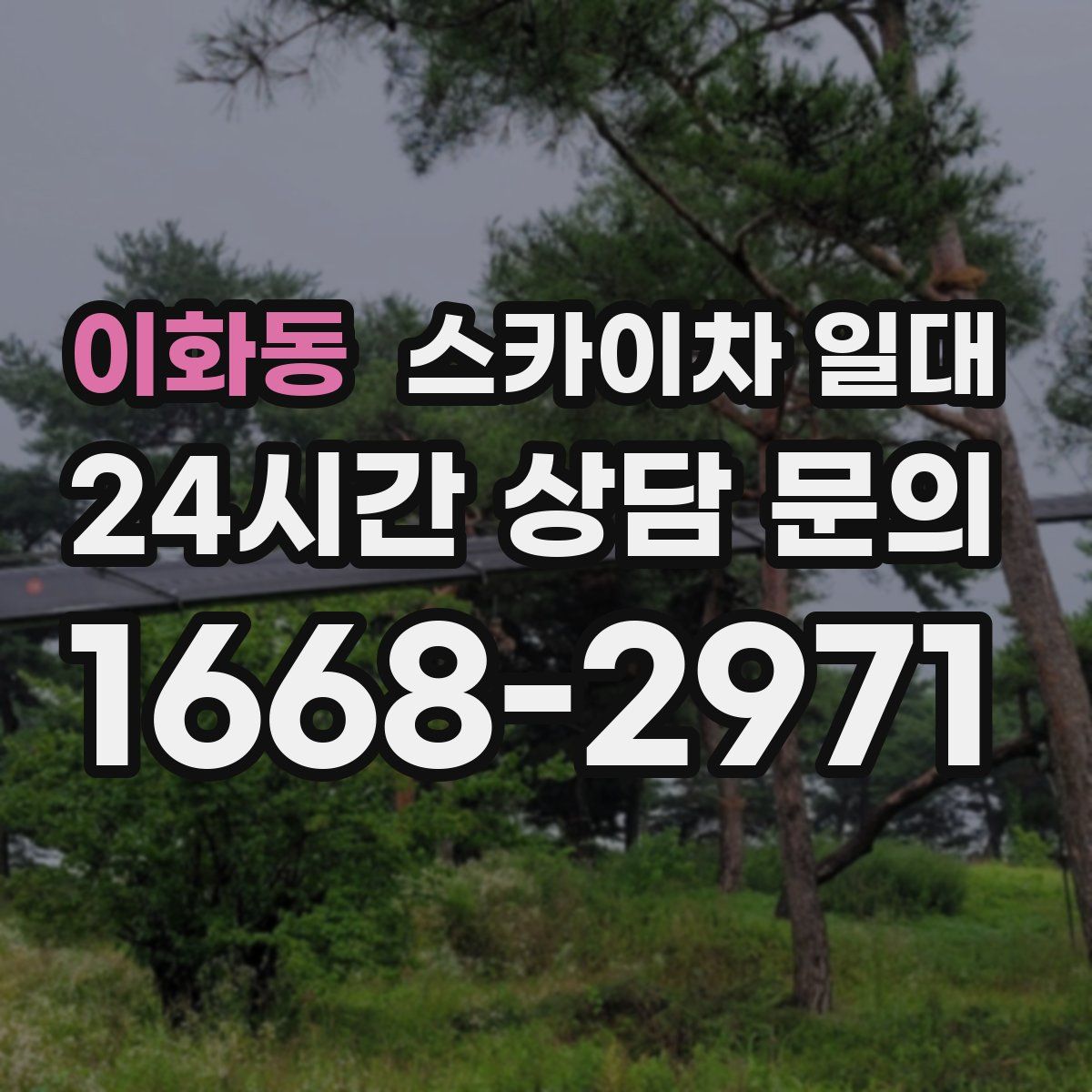 이화동 스카이차 일대