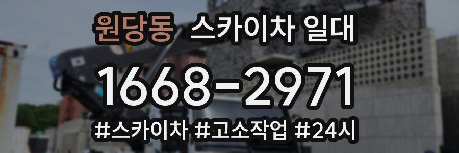 원당동 스카이차 일대