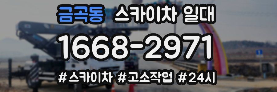 금곡동 스카이차 일대