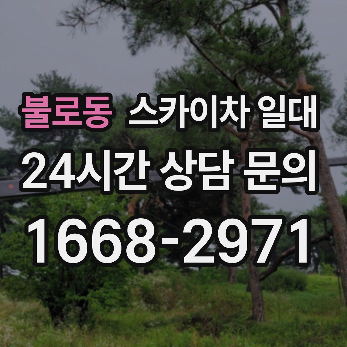 불로동 스카이차 일대