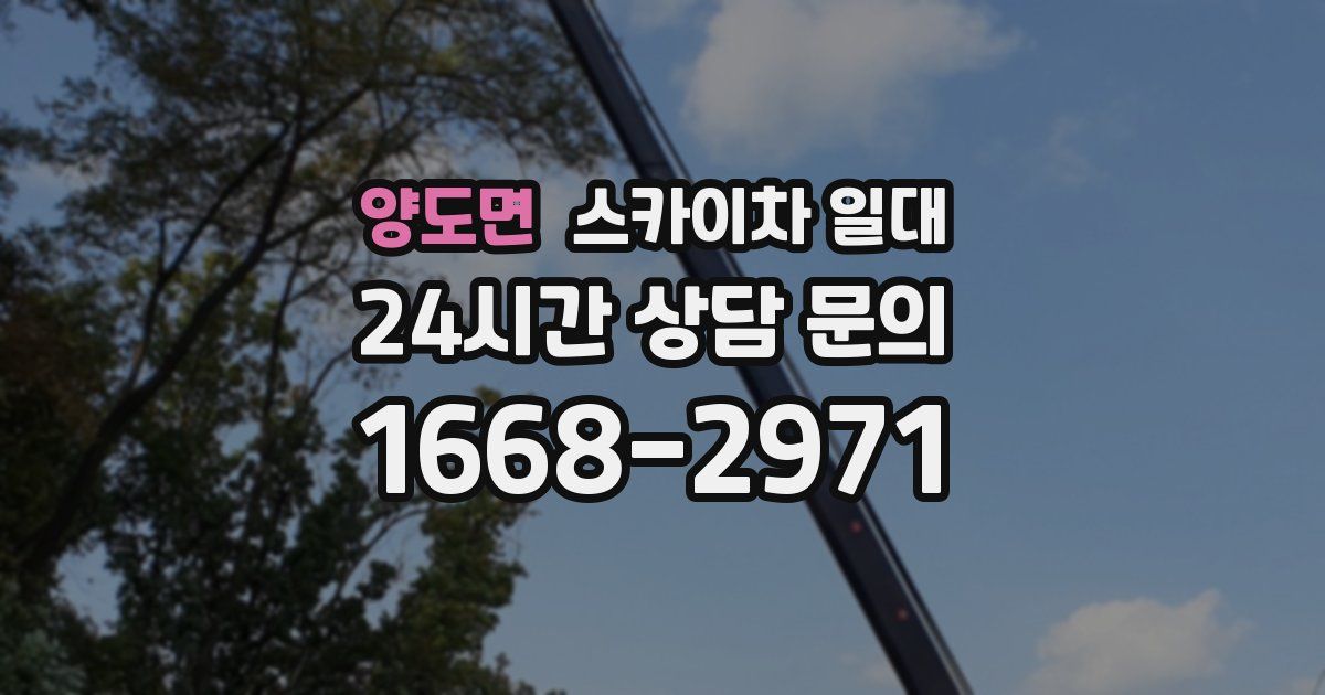 양도면 스카이차 일대