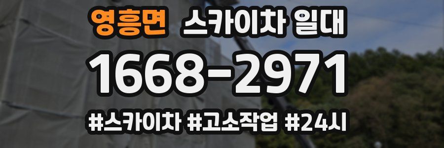 영흥면 스카이차 일대