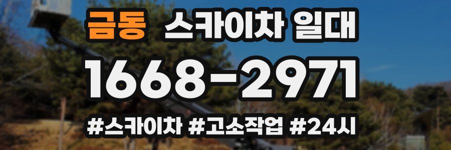 금동 스카이차 일대