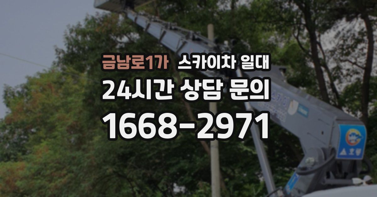 금남로1가 스카이차 일대