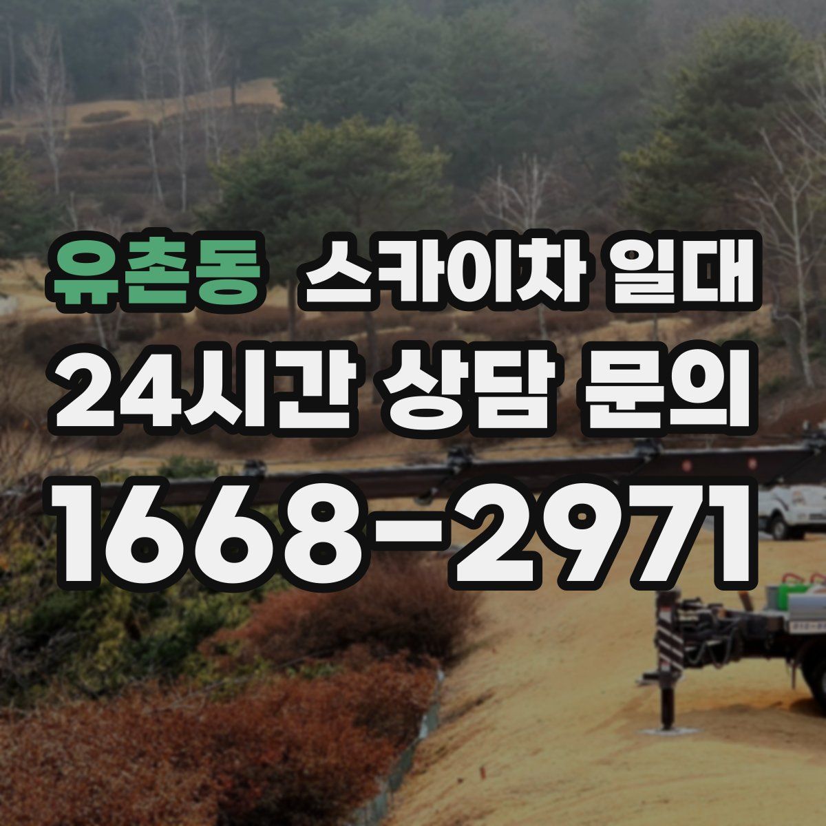유촌동 스카이차 일대