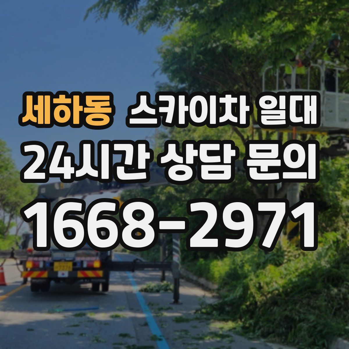 세하동 스카이차 일대