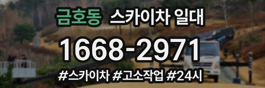 금호동 스카이차 일대