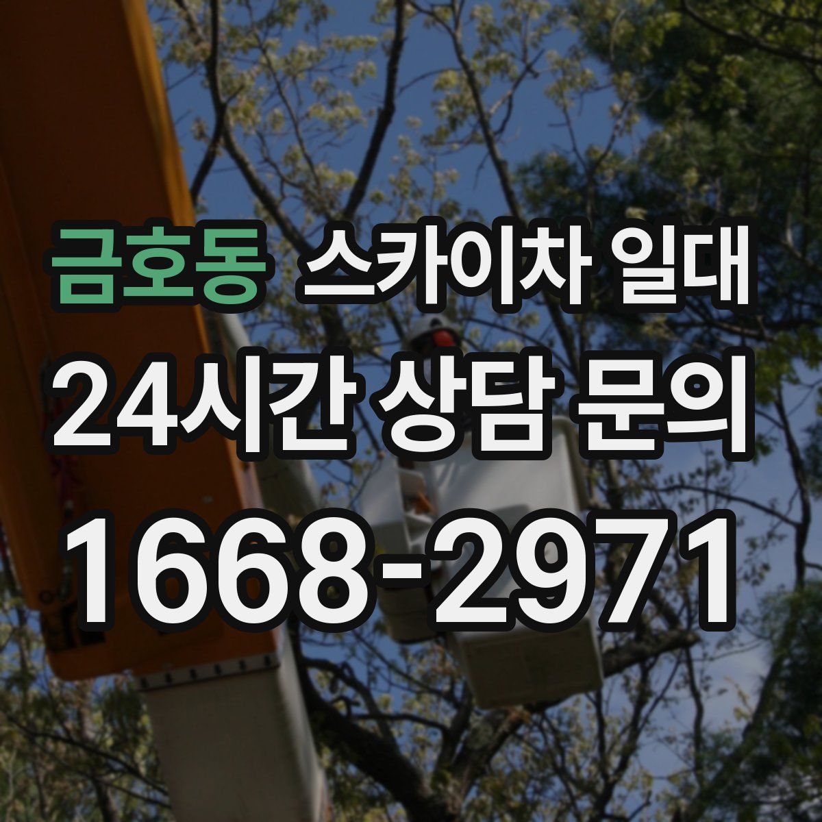 금호동 스카이차 일대