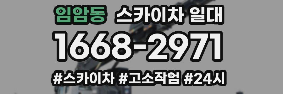 임암동 스카이차 일대