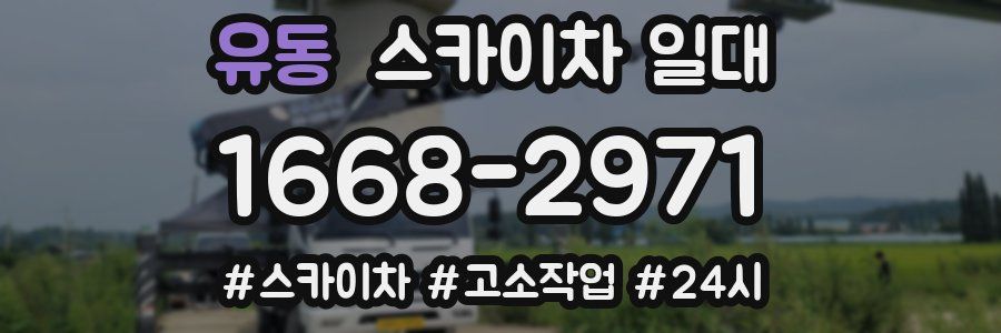 유동 스카이차 일대