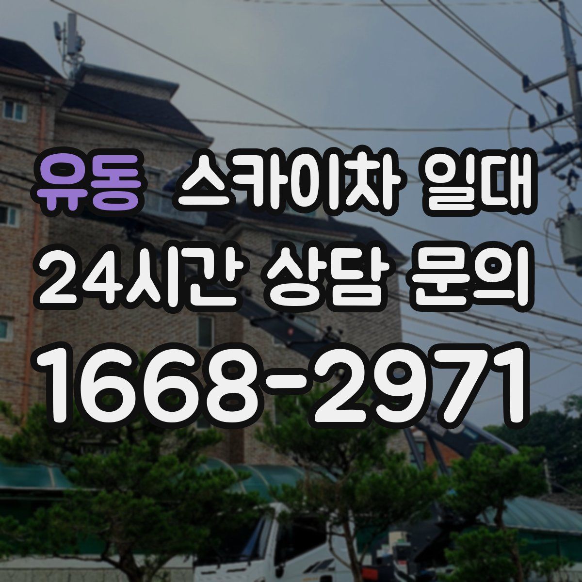 유동 스카이차 일대