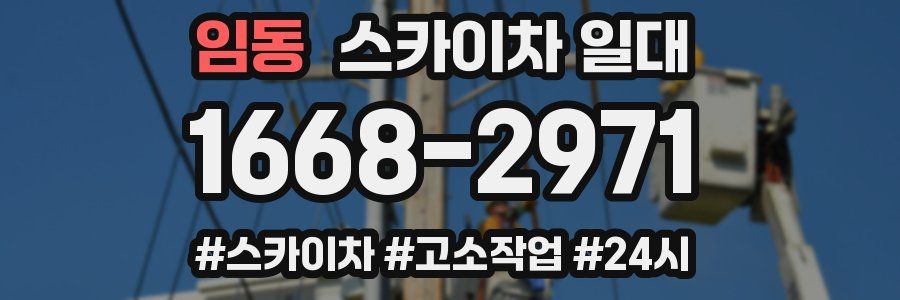 임동 스카이차 일대