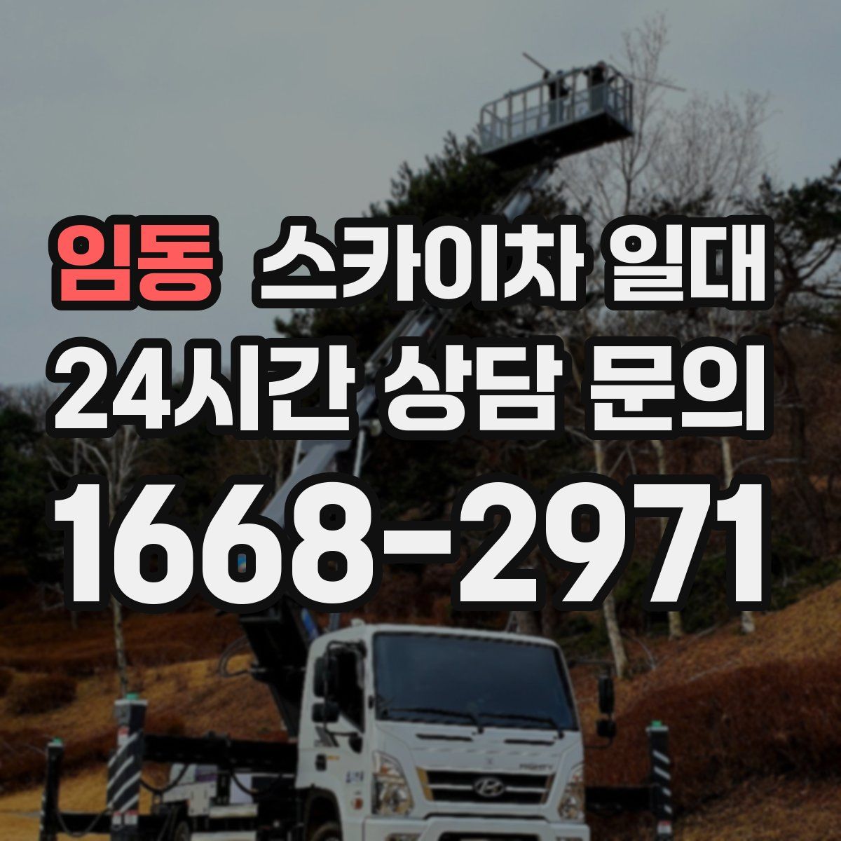 임동 스카이차 일대