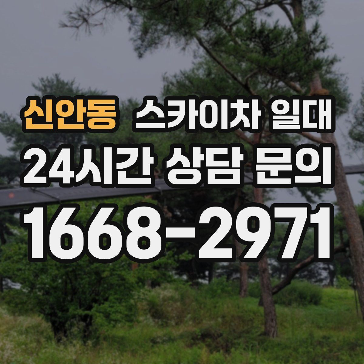 신안동 스카이차 일대