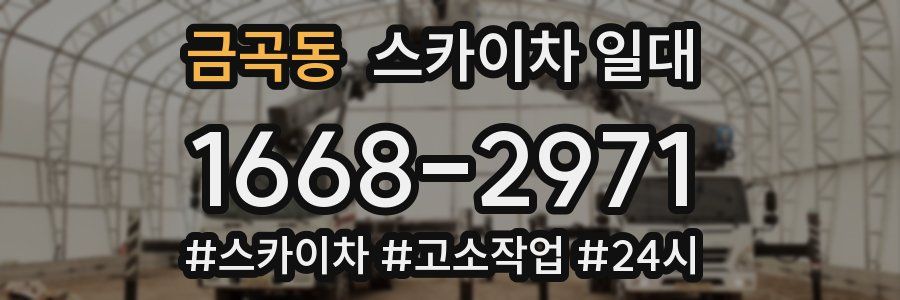 금곡동 스카이차 일대
