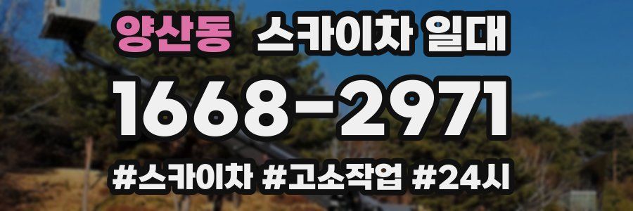 양산동 스카이차 일대