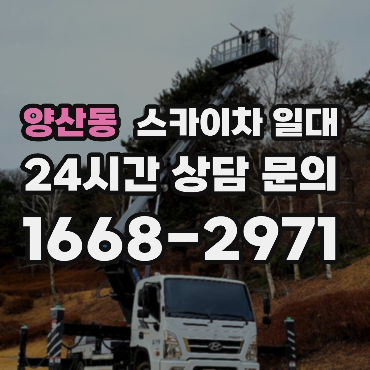양산동 스카이차 일대